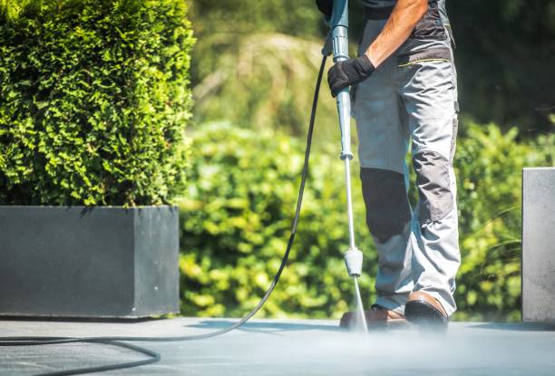 Best Dumpster Area Cleaning  in San Pasqual, CA